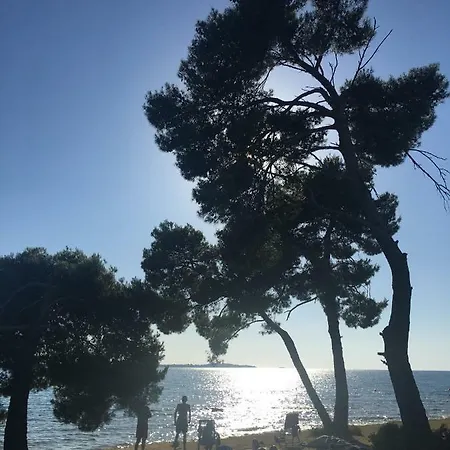 דירה Flat Sweet Dream *