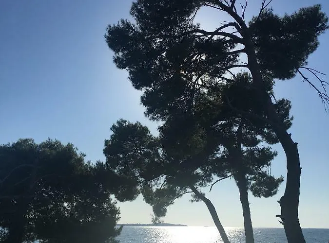 Lejlighed Flat Sweet Dream *